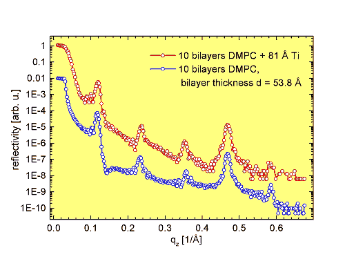 Fig. 2. Reflectivity of ten DMPC bilayers on Si-substrate