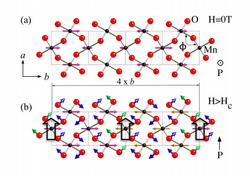 Crystal and magnetic structure of TbMnO3 in the ab-plane