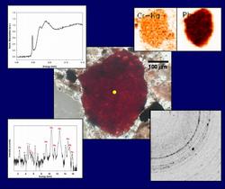 Assessing the Origin and Fate of Cr, Ni, Cu, Zn, Pb, and V in an Industrial Polluted Soil