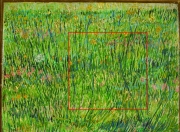 Vincent van Gogh, Patch of Grass