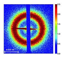 Femtosecond snapshots of magnetic domains