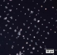 Microcrystals