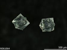 Cristobalite crystals