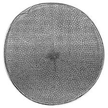 silica shell of a diatom 