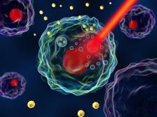 Gold nanoparticles spiked with antibodies