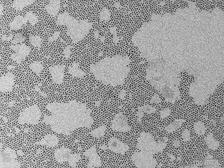 Electron micrograph
