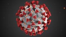 Artistic representation of the new corona virus SARS-CoV-2