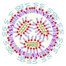 Schematic representation of a lipid nanoparticle loaded with mRNA.