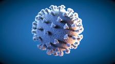 Artistic representation of the coronavirus
