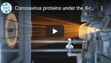 Coronavirus proteins under the X-ray microscope
