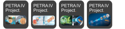 PETRA IV workshops