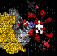 Puzzling the Ribosome