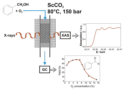 Figure 1: Strategy of the experiment
