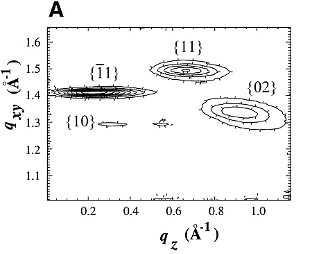 fig1a