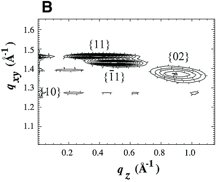 fig1b