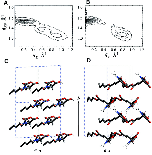 Fig. 3. GIXD patterns I(qxy, qz)