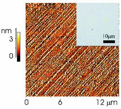 Figure 1: Real space structural data of the PDMS nanochannels