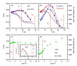 Incommensurability and intensity of the DyMnO3