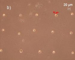 Figure 3b