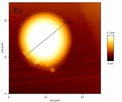 Figure 4b