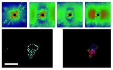 Coherent diffraction patterns recorded