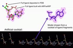 Building partially ordered ligands