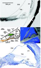 Figure2