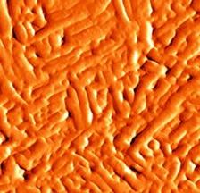 Aquatic - paraffin coated - pentacene transistors for biosensing
