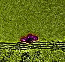 Rhodium advances the carbon age in nanoelectronics