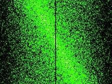 Formation of 2D crystals on water via linearly polarized laser illumination