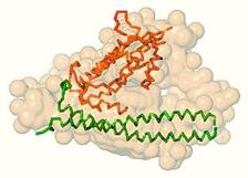 SAXS combined with crystallography examines molecular switch action