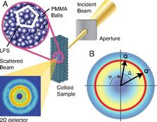 Order in disorder uncovered by X-ray speckle cross correlation