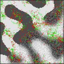 magnetization matrix